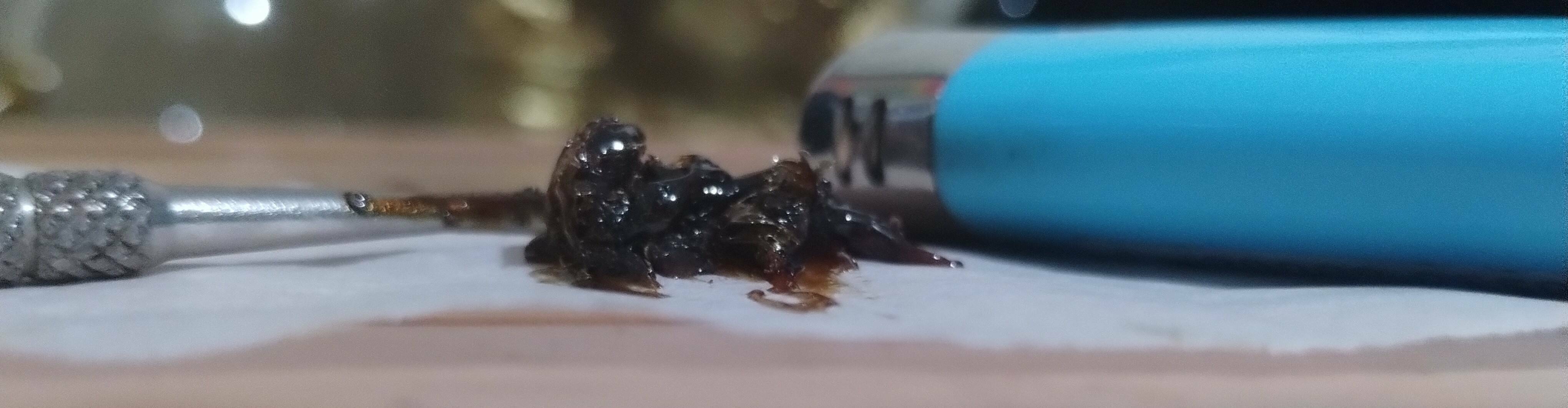 20bet casino no deposit bonus code